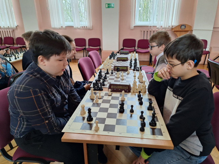 Муниципальные соревнования по шахматам "Белая ладья ".