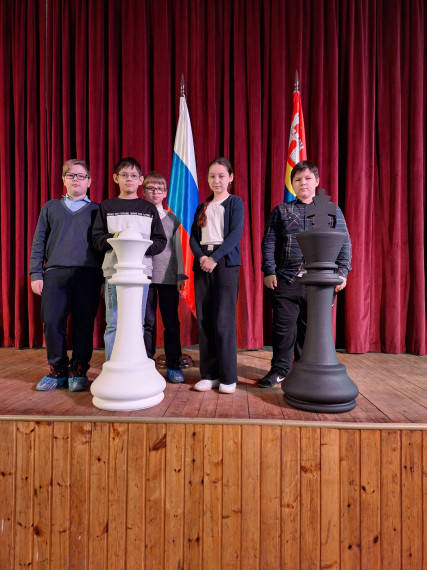 Муниципальные соревнования по шахматам "Белая ладья ".