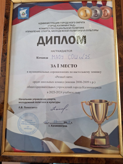 Муниципальные соревнования по настольному теннису "Резвый мяч ".