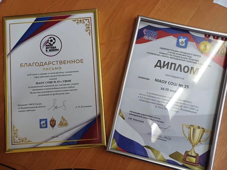 Всероссийский детско-юношеский турнир "Мини-футбол в школу ".