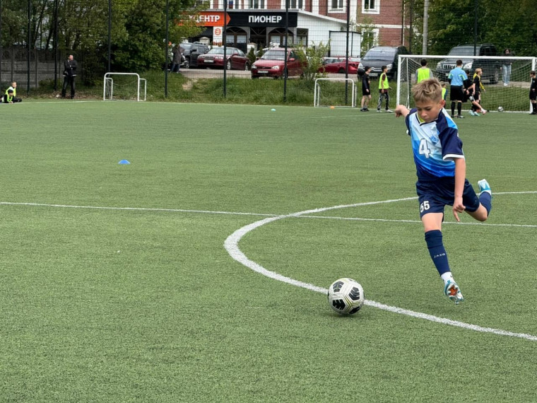 Кожаный мяч.