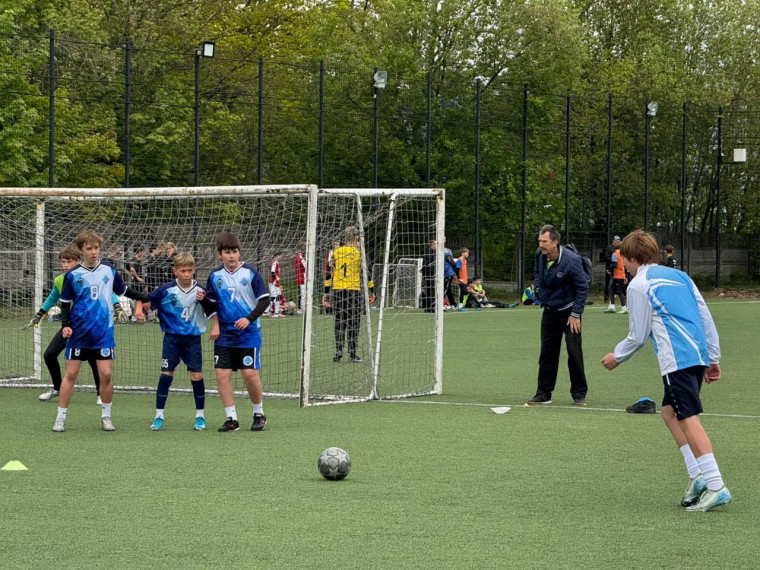 Кожаный мяч.